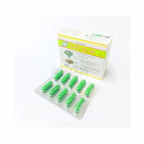 Ginko Biloba